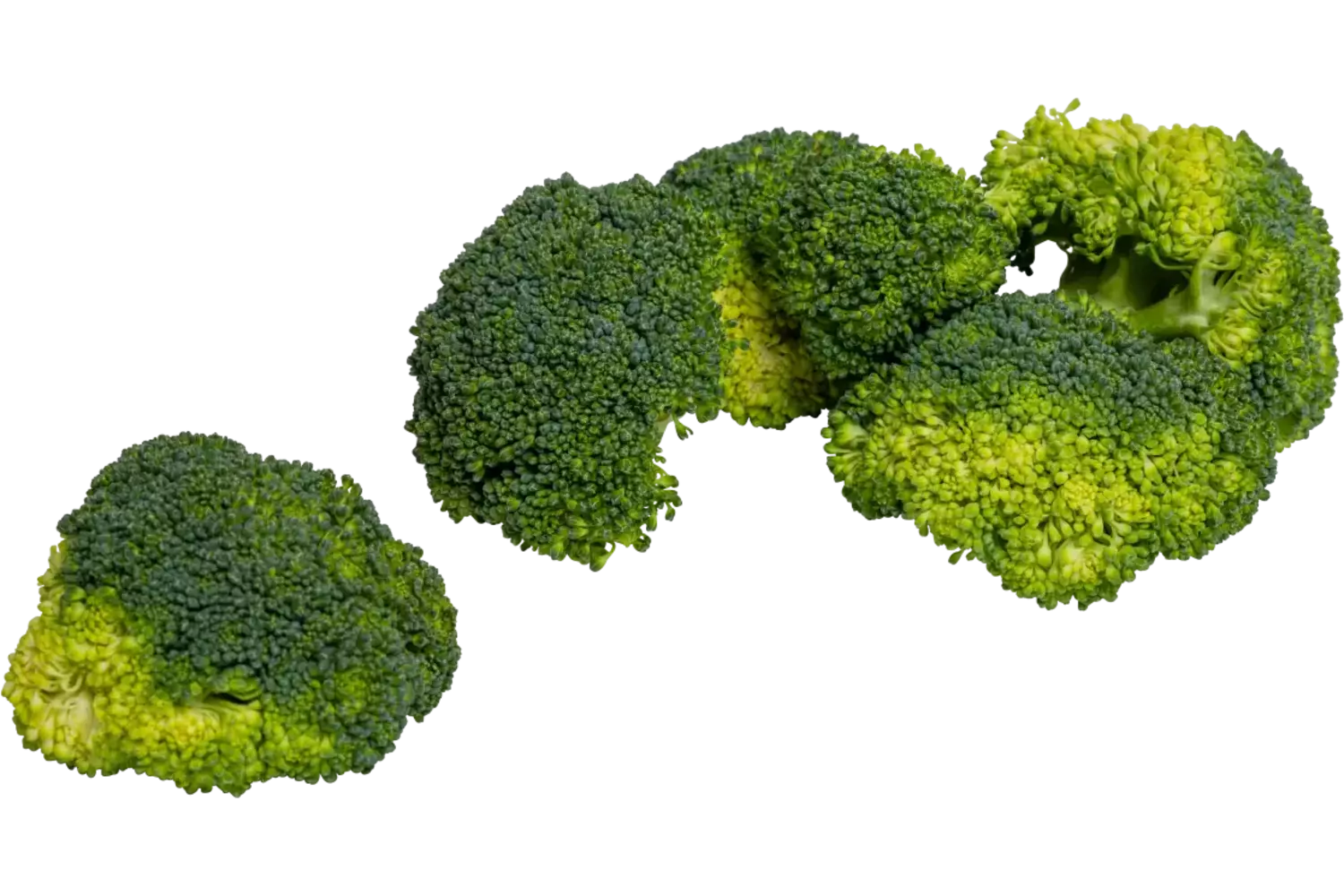 Broccoli roosjes 30-60mm zak 1kg kist 6 stuks